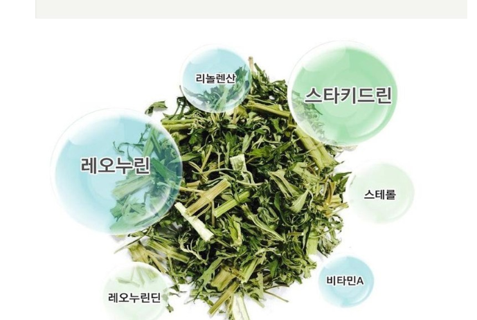 익모초진액