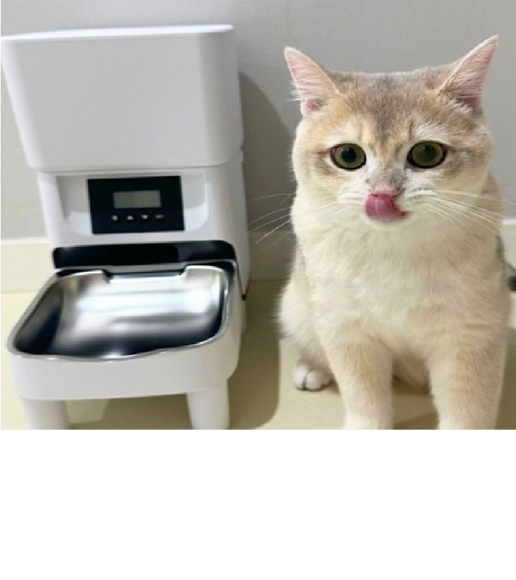 자동급식기